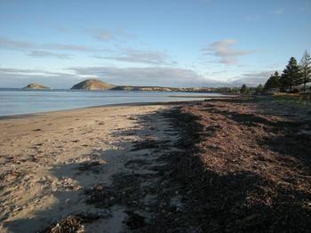 Wintergarden Beach Cabin Victor Harbor Luaran gambar
